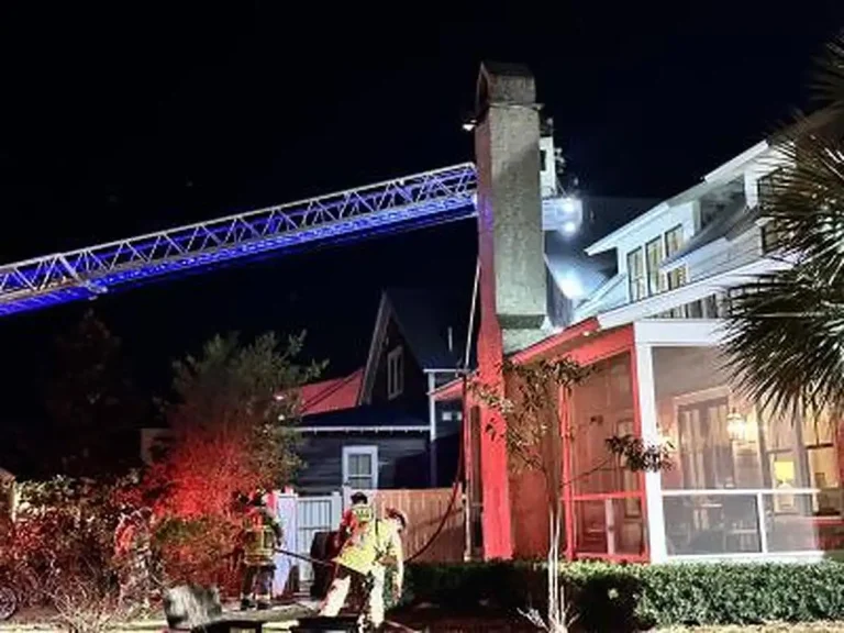 Firefighters work at night outside a house with visible smoke, using a ladder extended to the roof. Emergency lights illuminate the scene, and trees and plants are visible in the yard.