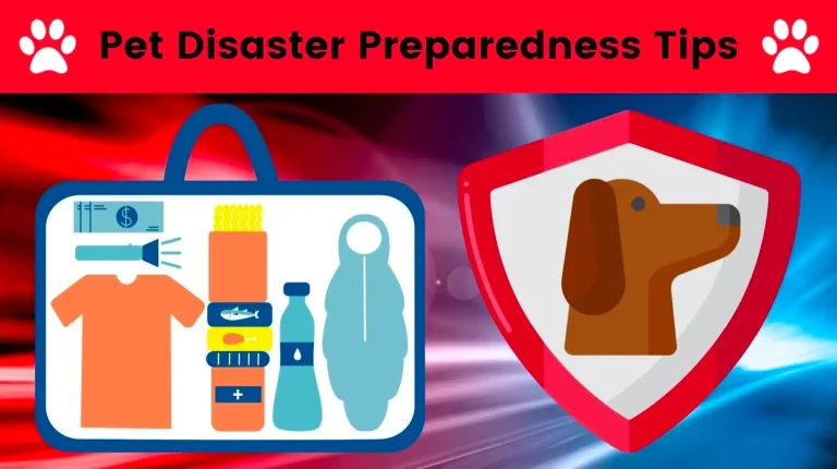 An illustration titled "Pet Disaster Preparedness Tips" shows a bag with clothes, money, pet food, water, and first aid supplies next to a shield featuring a dog’s head.