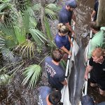 A group of rescue workers in dark shirts stand in shallow, murky water among trees, using a large stretcher to lift a dolphin. A bright orange kayak is visible in the background.