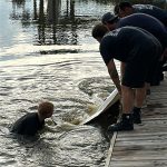 Several people on a wooden dock assist a person in the water by holding out a white board, while boats and tall grass are visible in the background.